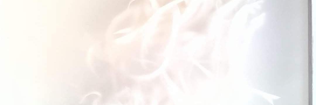est184118's profile banner image