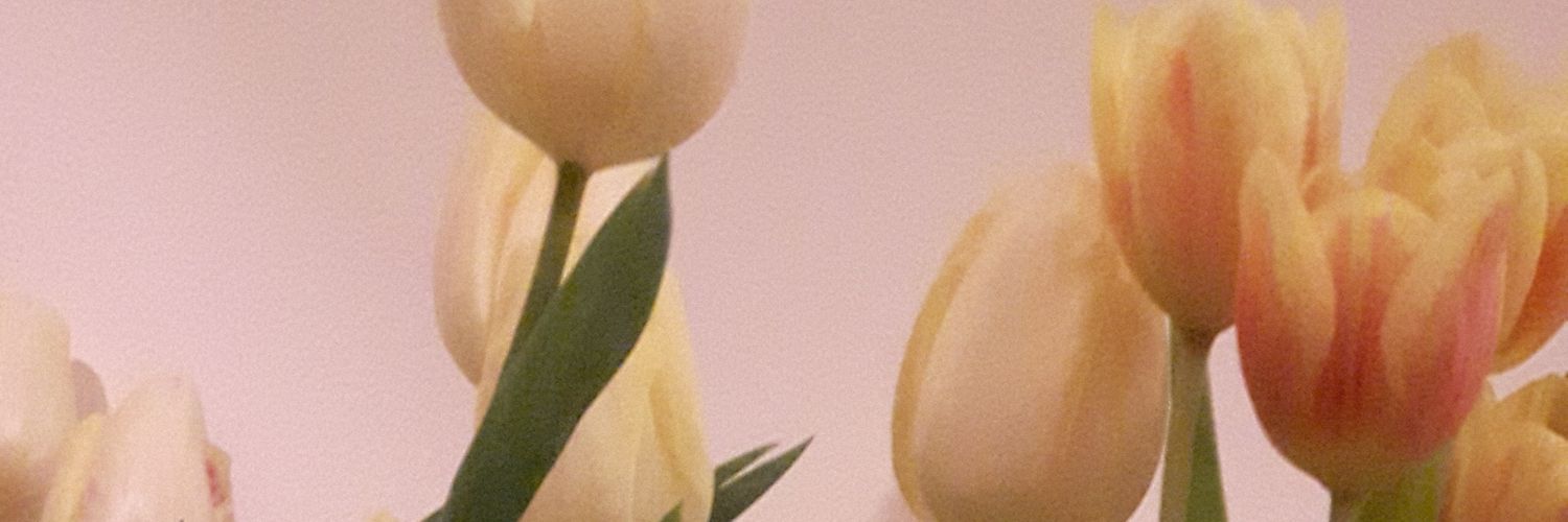 MsCGrove's profile banner image