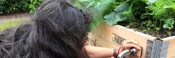 andreuchisbo Profile Banner