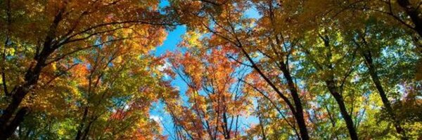 QuebecLeMag Profile Banner