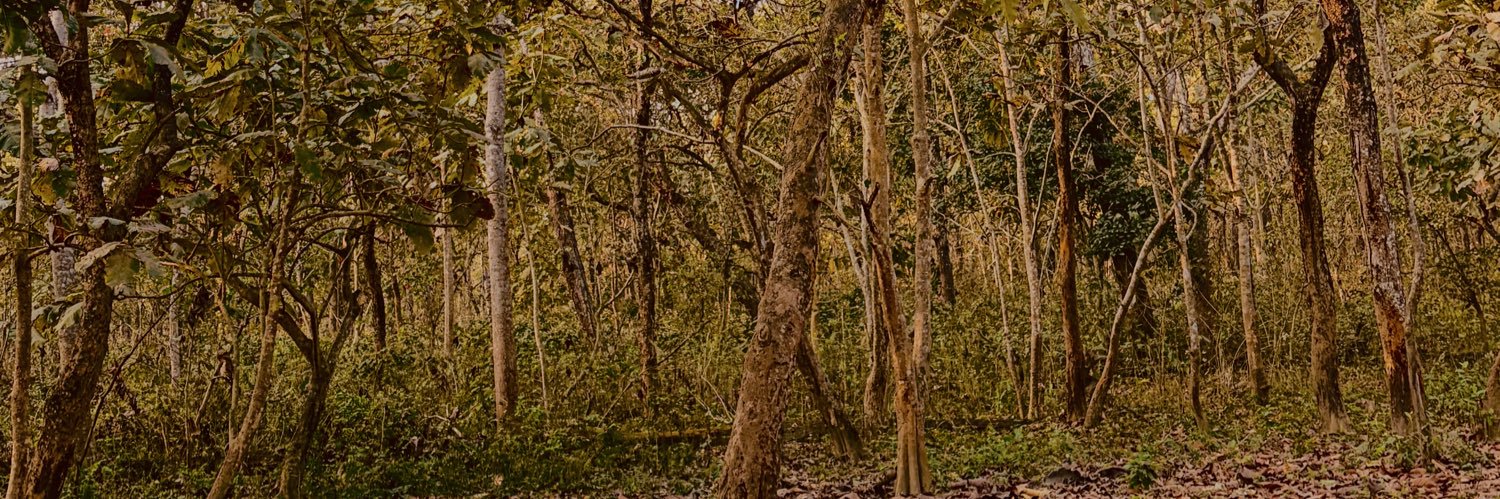 golddenheart's profile banner image