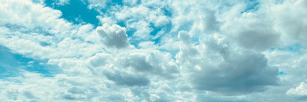 ellenmcd Profile Banner