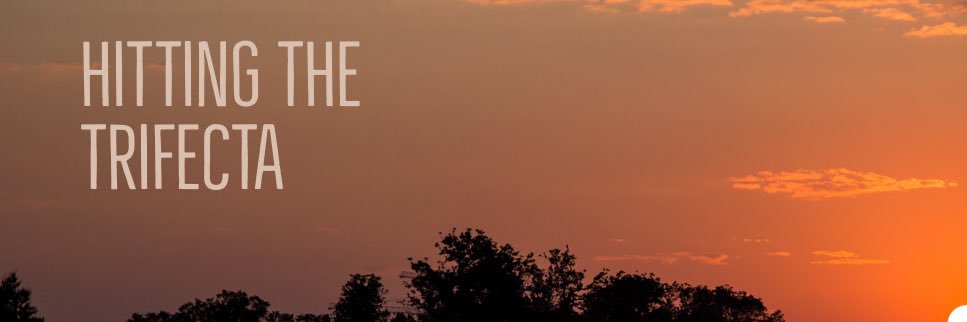 Hitting The Trifecta banner