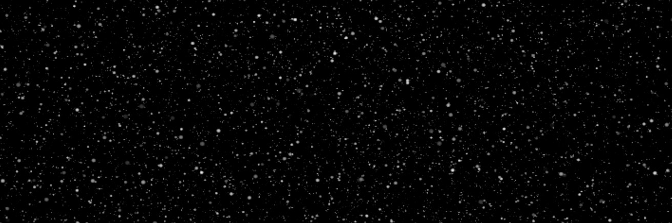 MST Season 12 banner