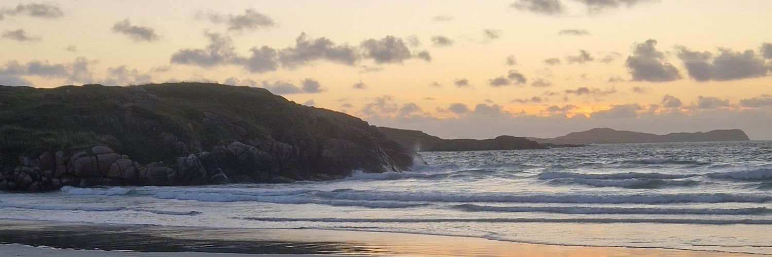 Johnny McCann banner