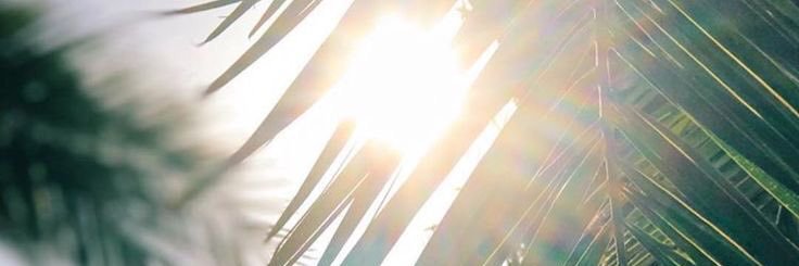 Megan_Shuman's profile banner image
