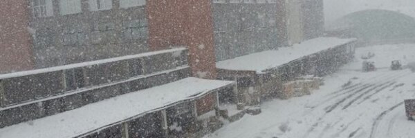 AndrisBite Profile Banner