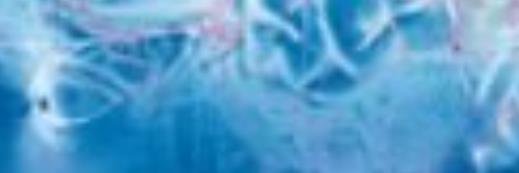 ibroluvlot's profile banner image