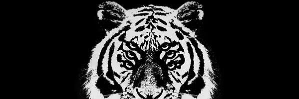 Rayner banner