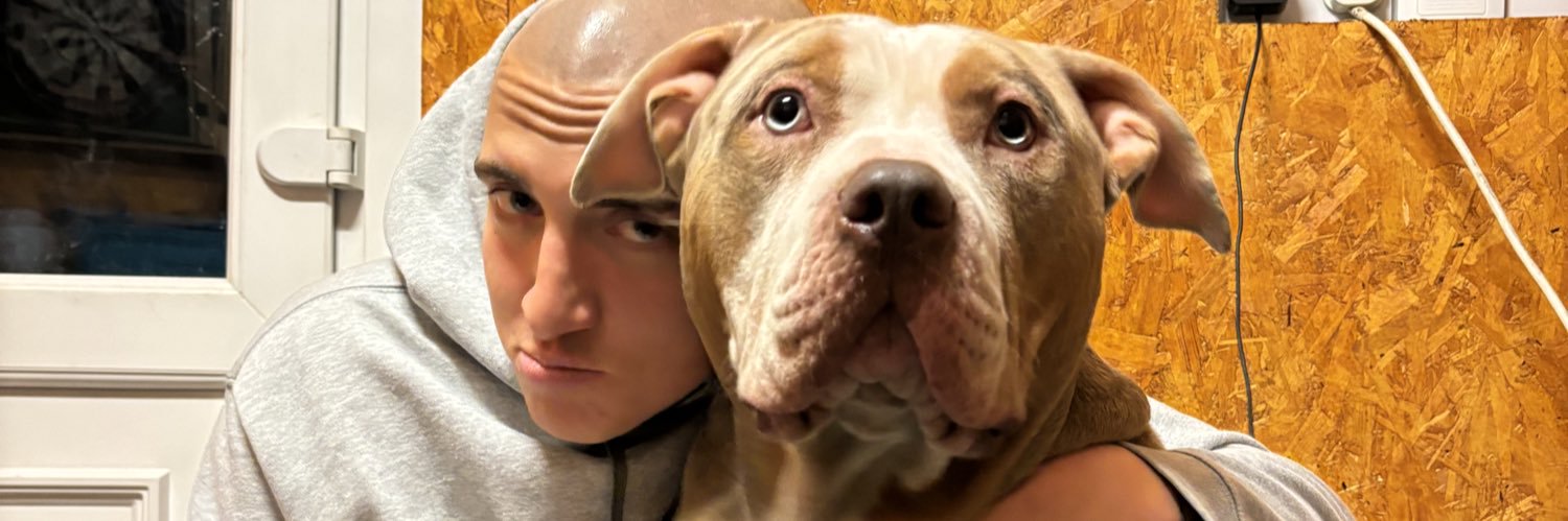meg x banner