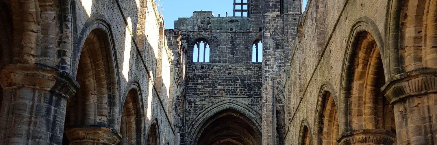 Carys Stewart-Woods banner