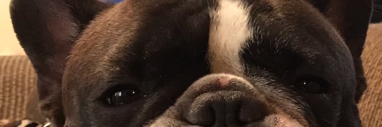 8milejohn's profile banner image