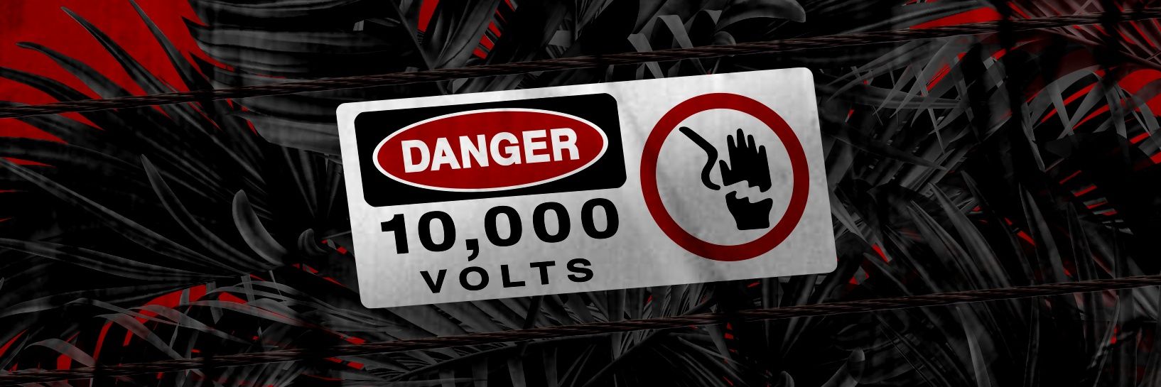 James McQuade banner