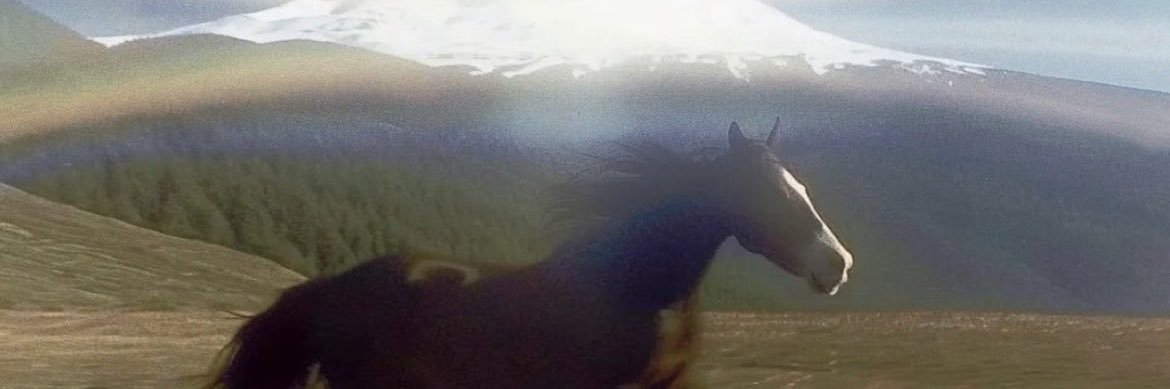 biancasembe's profile banner image