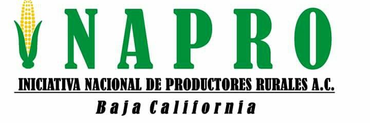 InaproBC's profile banner image