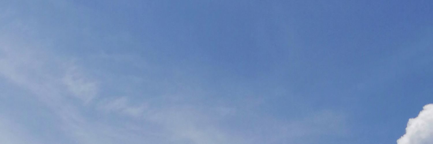 aleli1010's profile banner image