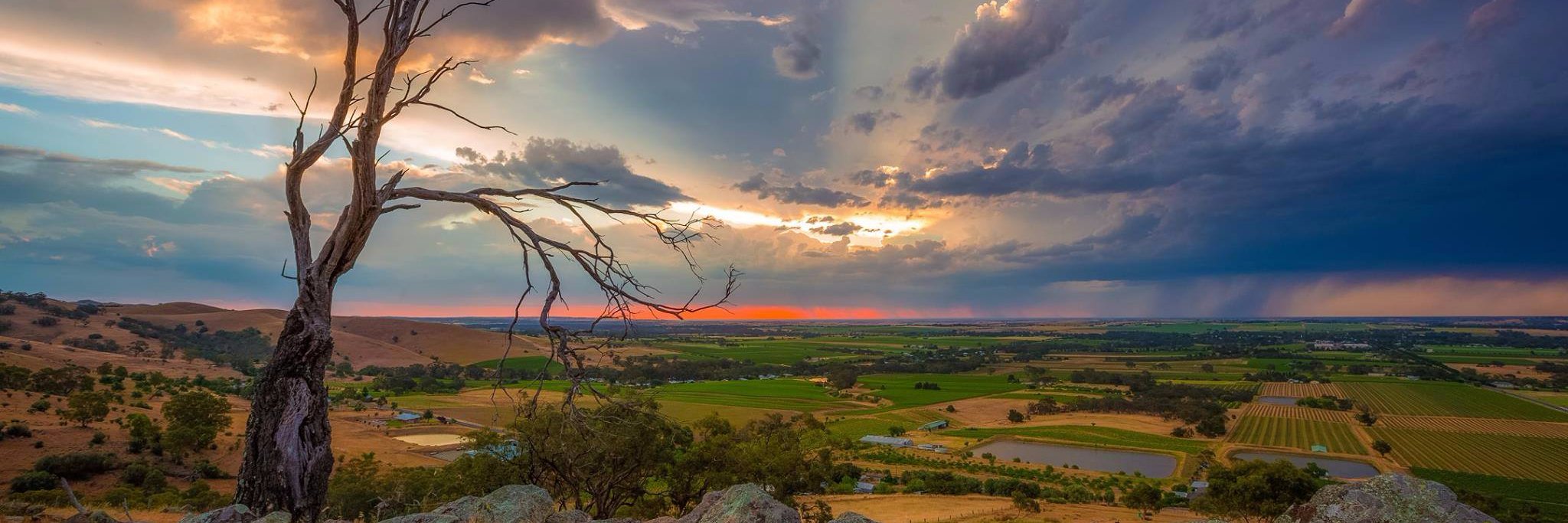 Peter Karnesis banner