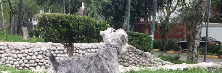 Cherk besos banner