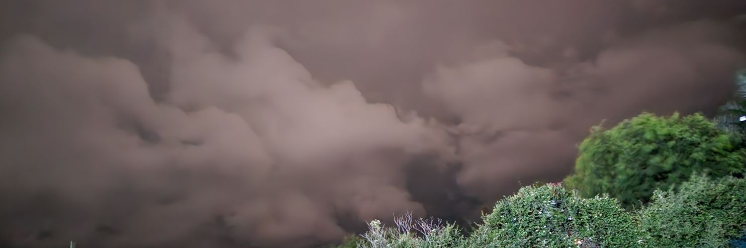 JanetMelian's profile banner image
