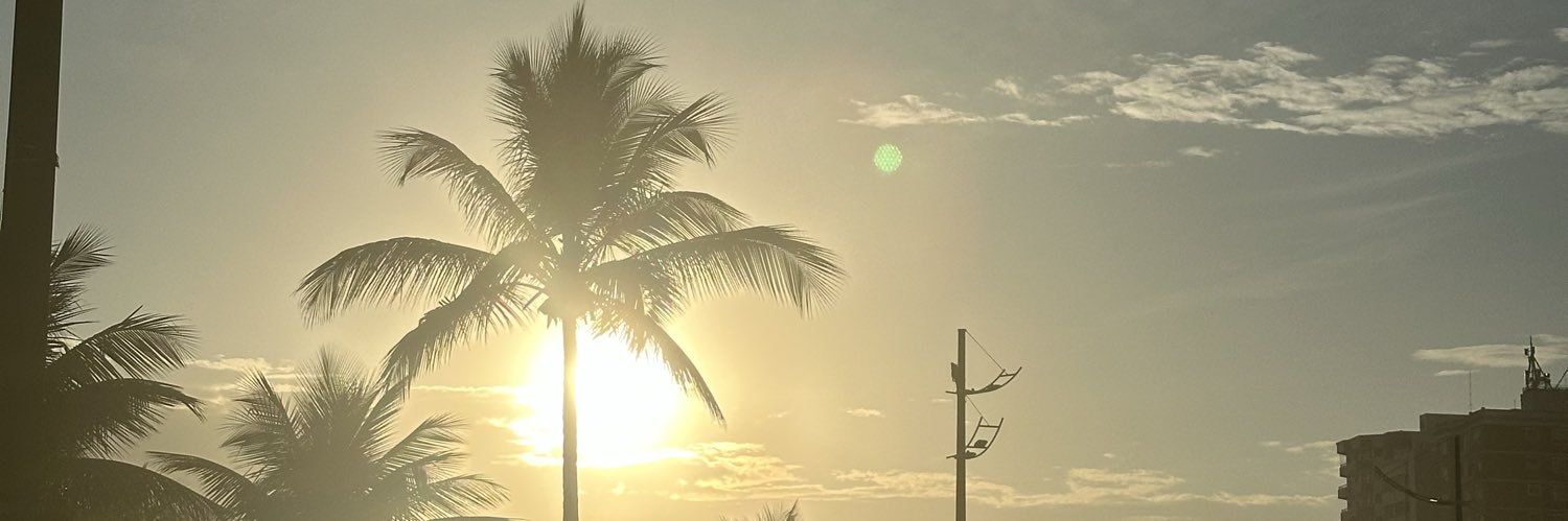fatimagranco's profile banner image