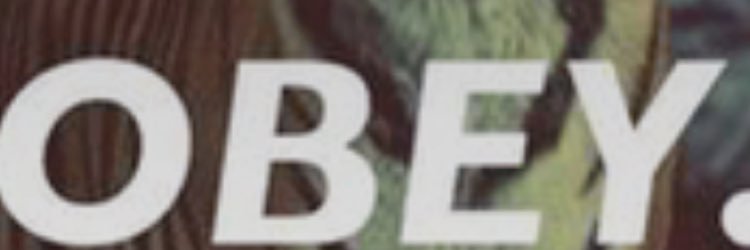 Ahmil Flowers banner