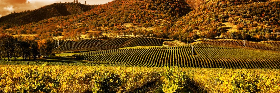 PRESS_St_Helena's profile banner image