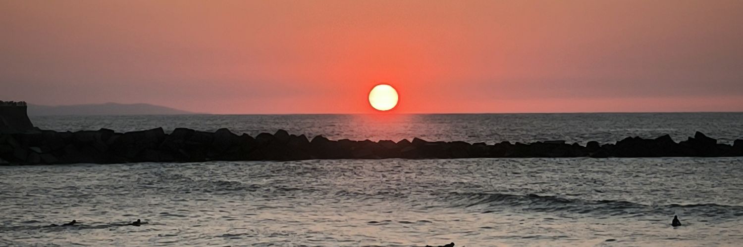 Alba 🌻 banner