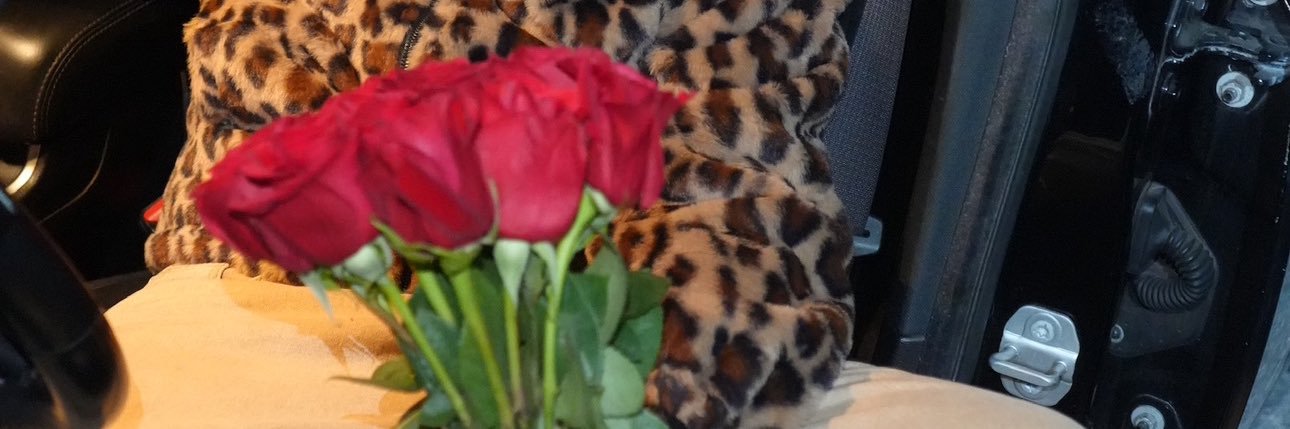 Paul 🦒 banner