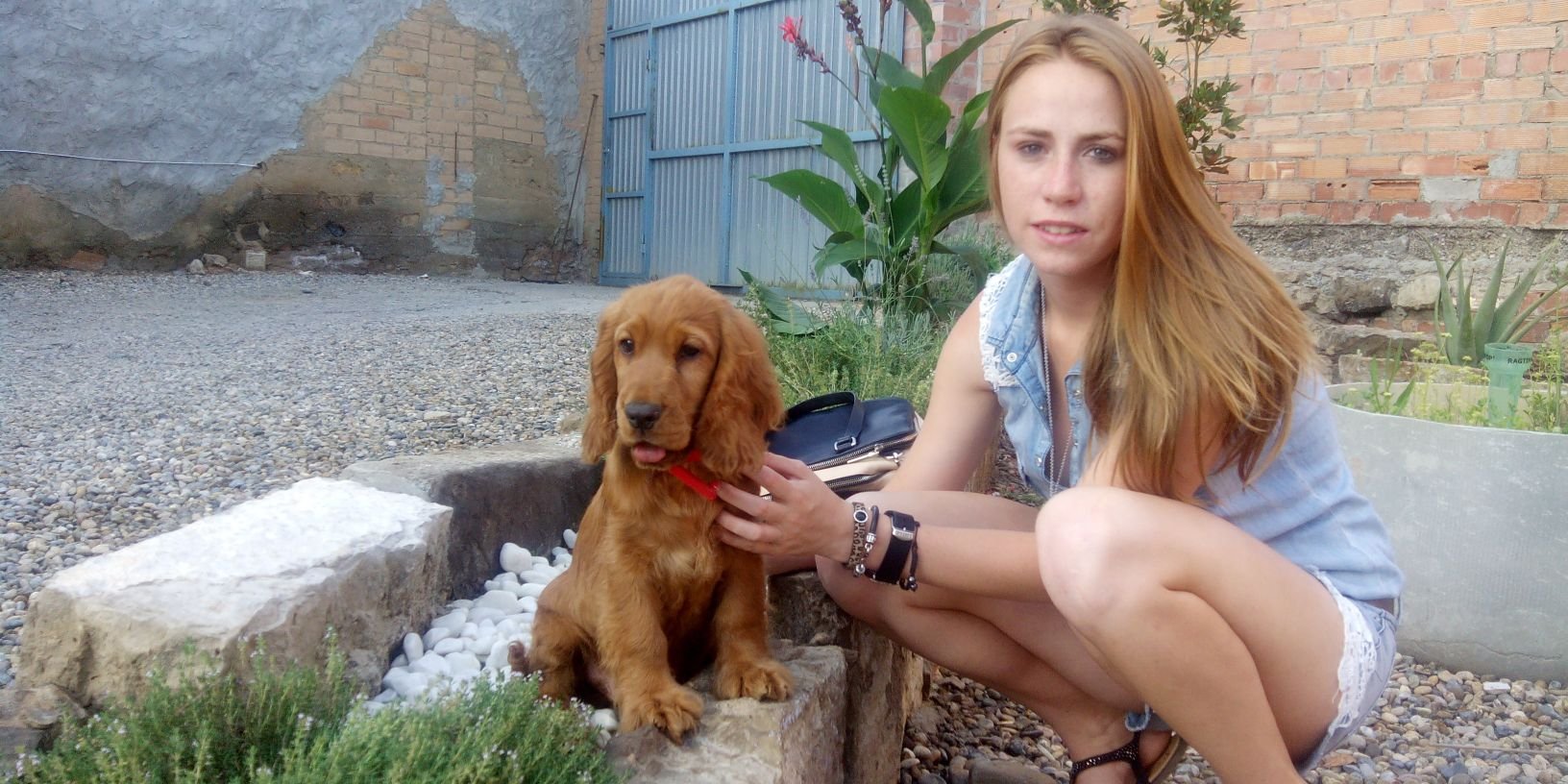 Andreabieto's profile banner image