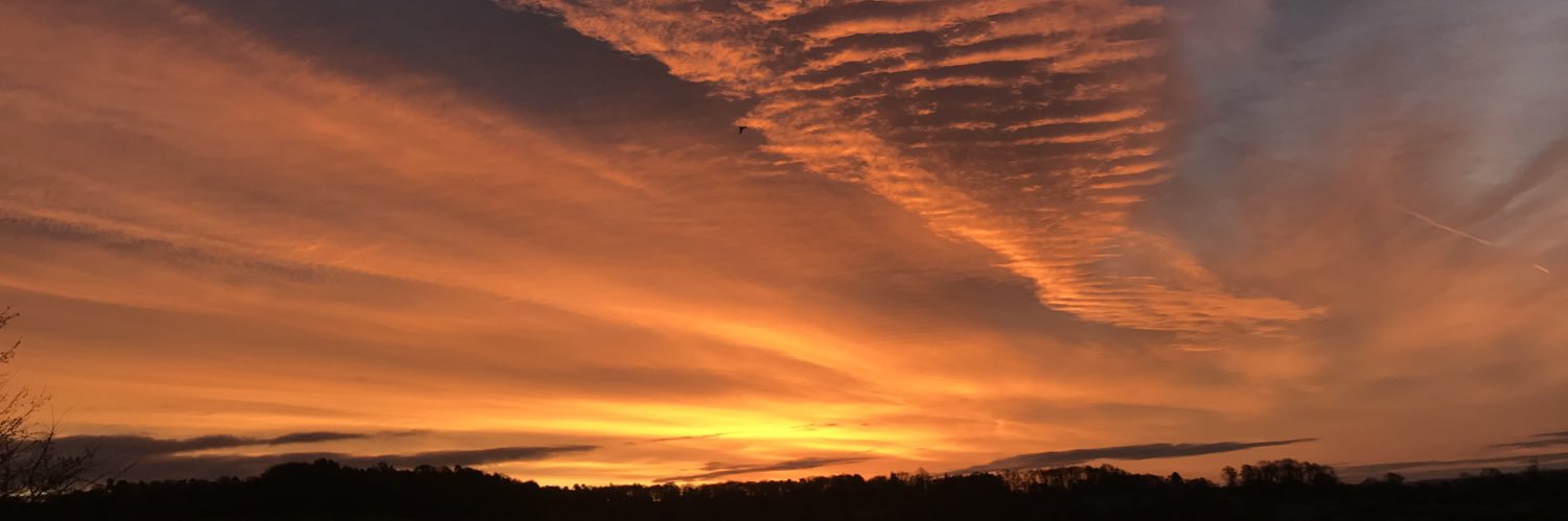 Jody Nicholls (she / her)🏳️‍🌈😷🇺🇦 banner