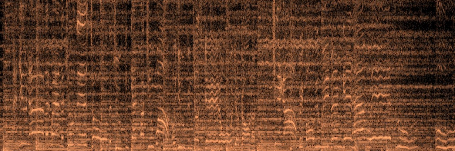 Dr. Dana Boebinger banner