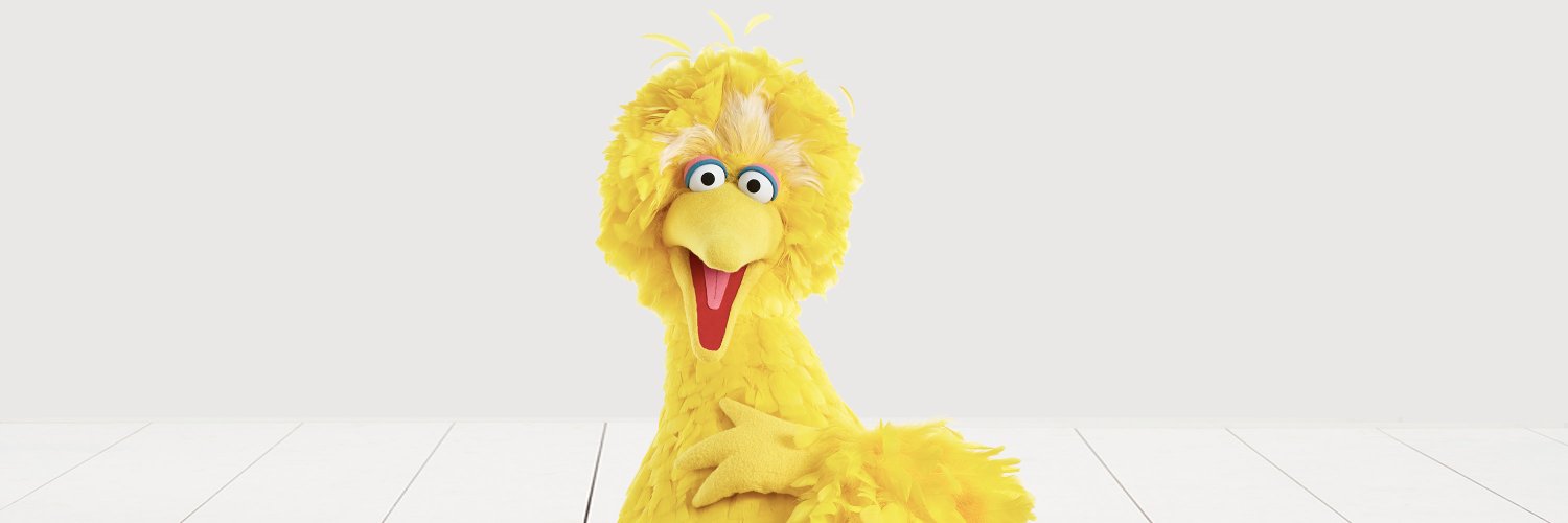 Big Bird's banner
