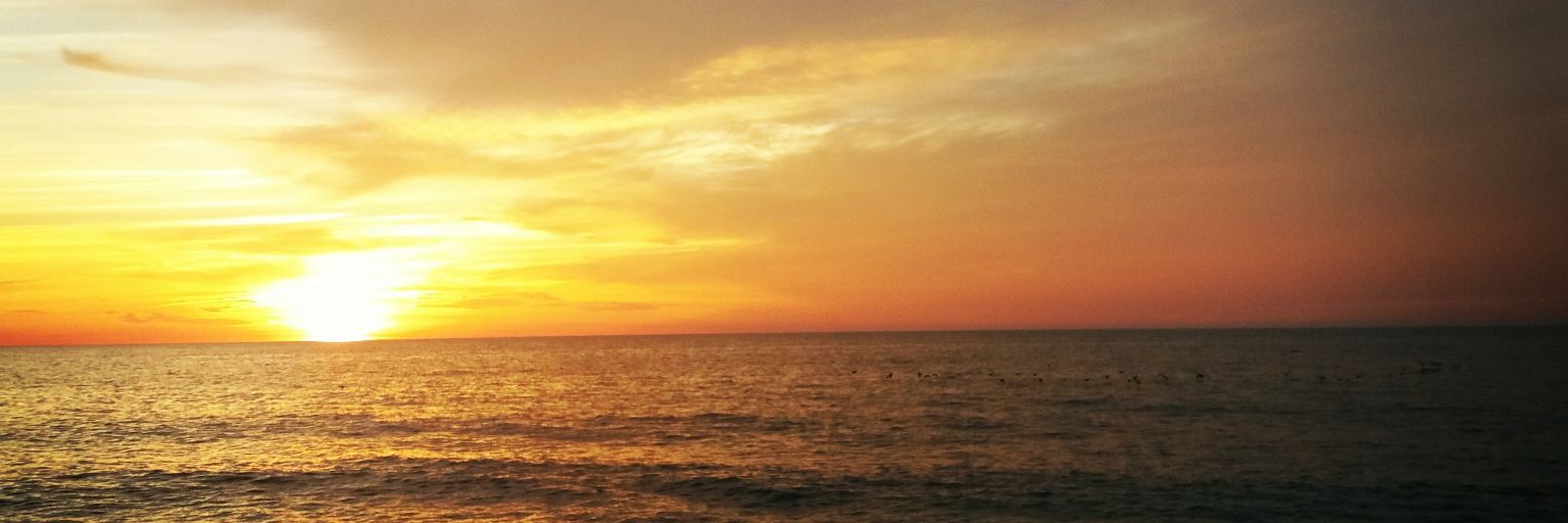 kathastr0phy's profile banner image