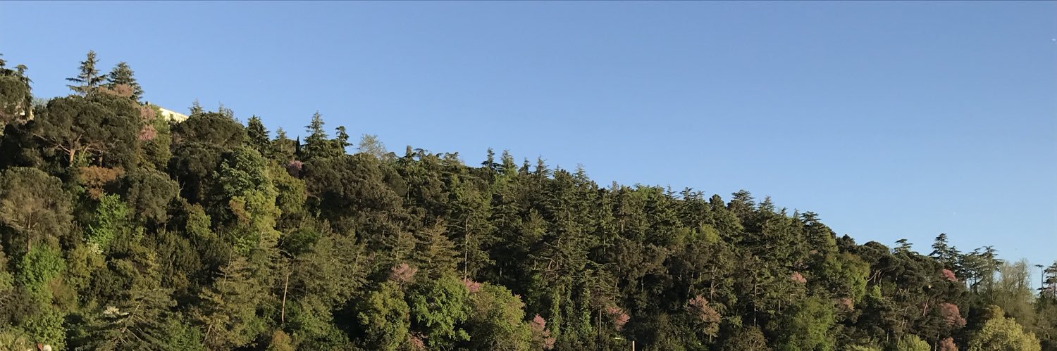 miyondar's profile banner image
