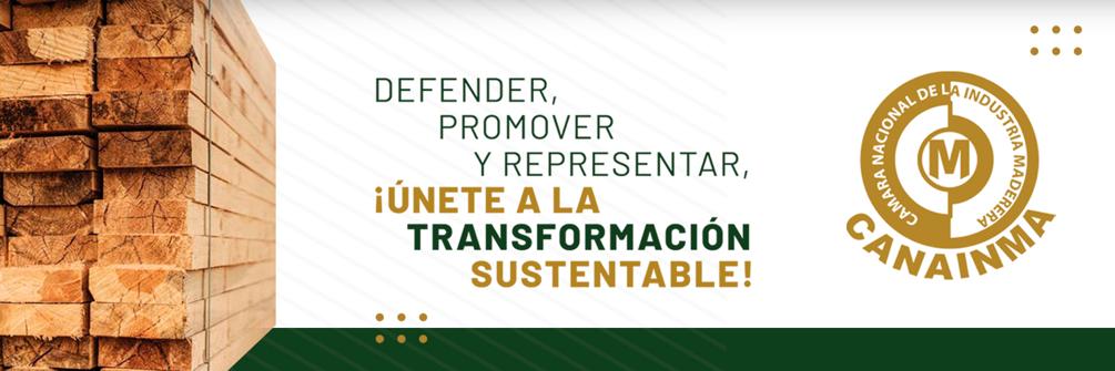 CANAINMASURESTE's profile banner image