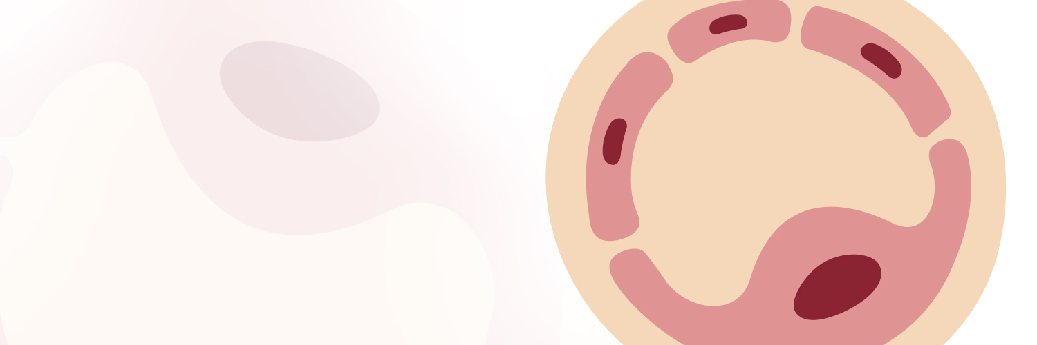 Endothelial Cell News's banner
