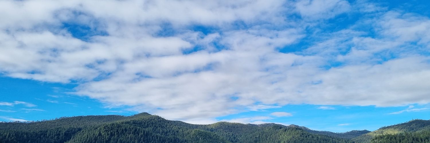 Jess banner