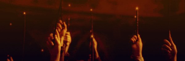 gingerphoenix29's profile banner image