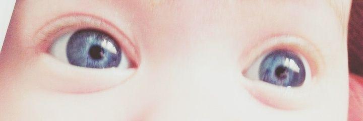 Pandulce123's profile banner image