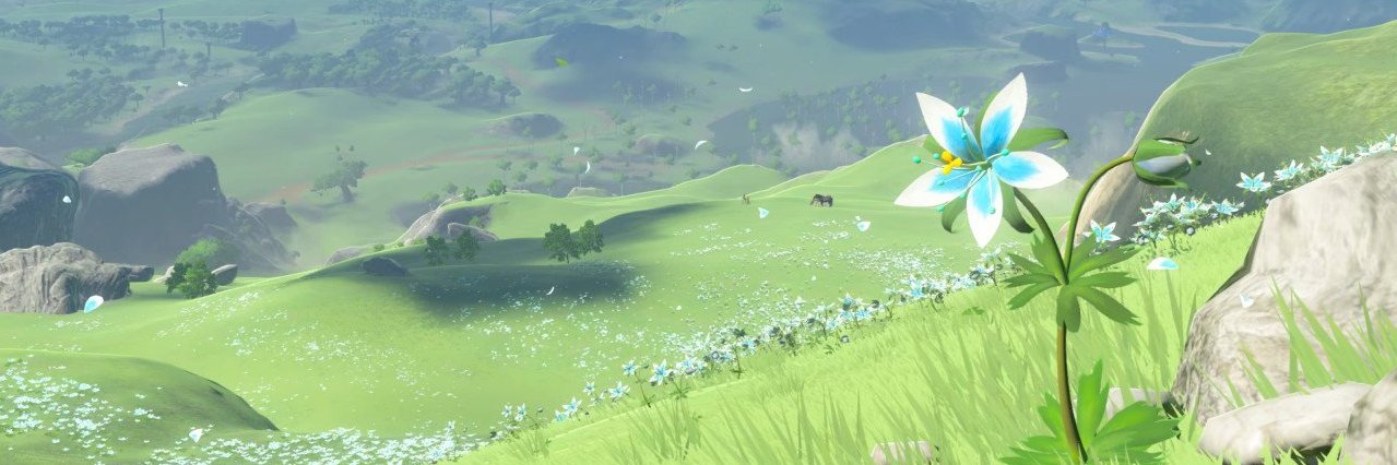 Tyadorma's profile banner image
