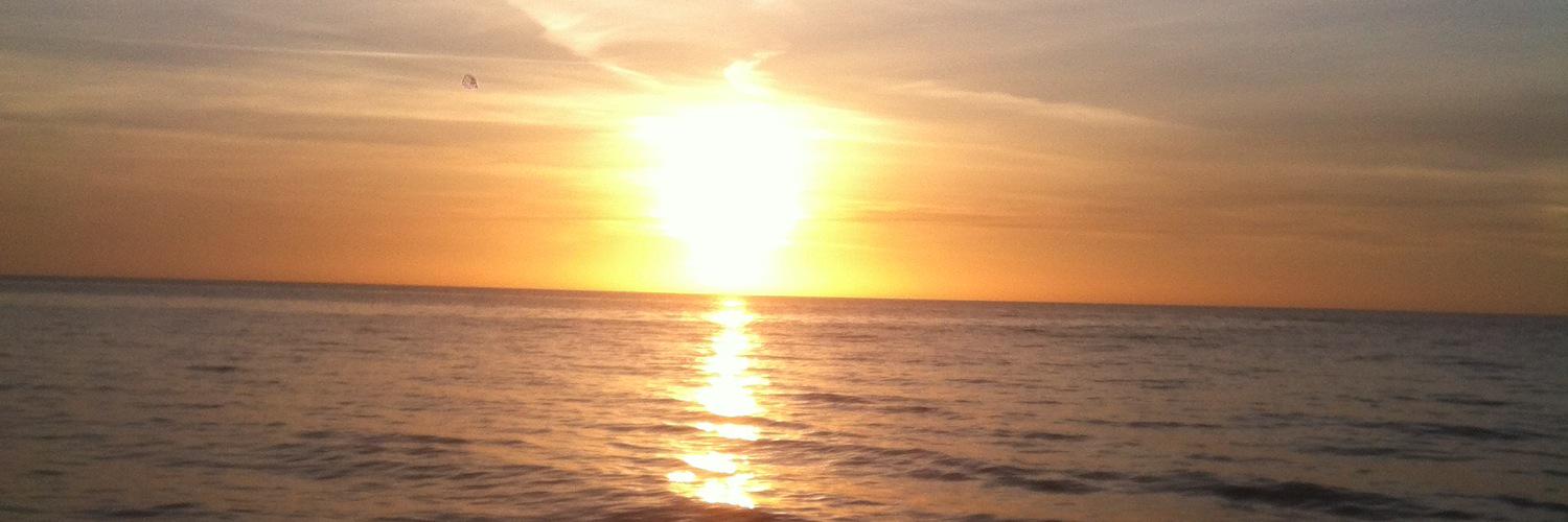 Harvey Buttriss banner