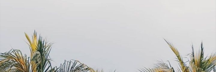 borsalde's profile banner image