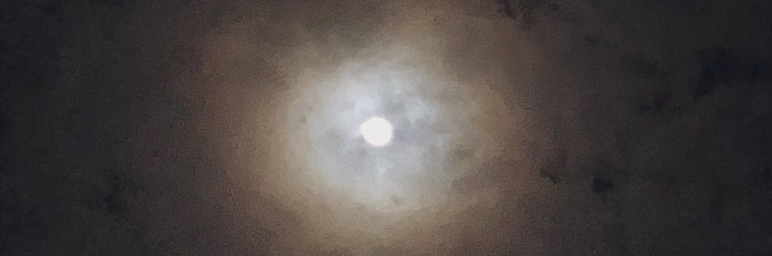 奇天烈まい子 banner