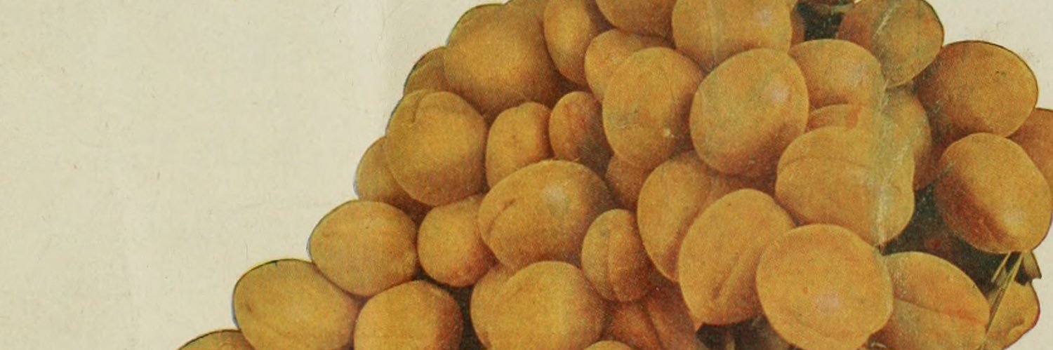 sunk ghost fallacy banner