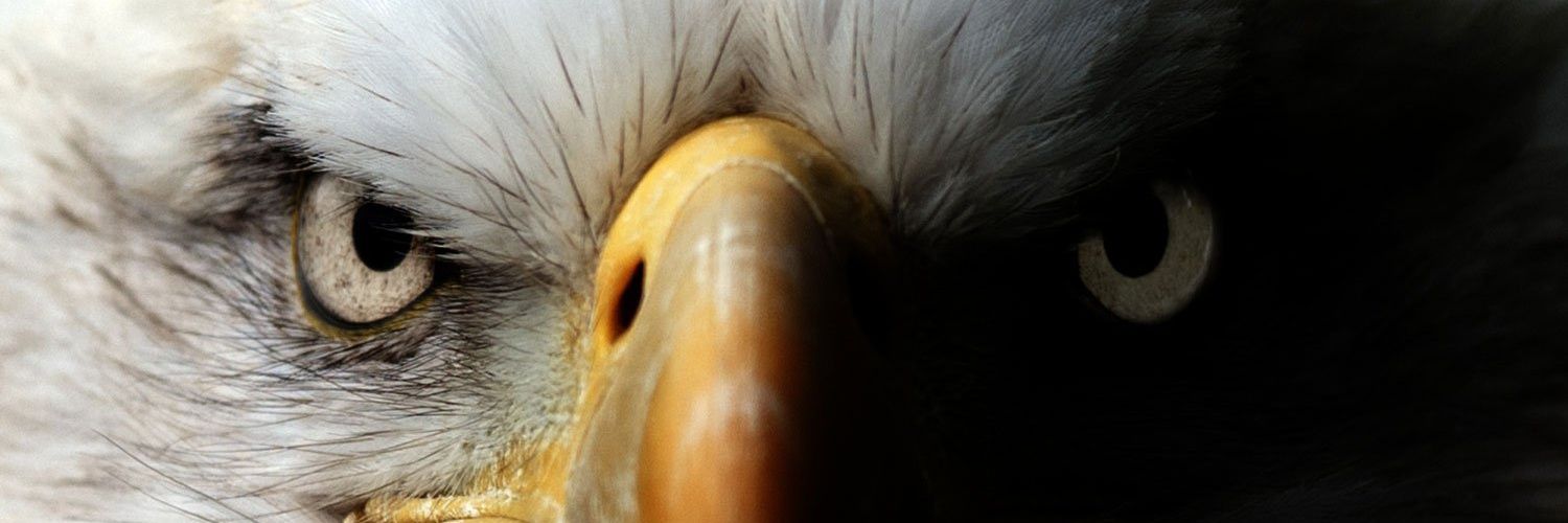 Quelviosiris's profile banner image