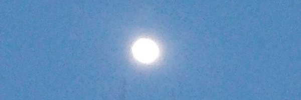 vikramgandotra1 Profile Banner