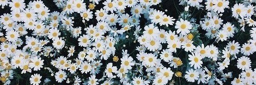 SlmBeyzaBn's profile banner image
