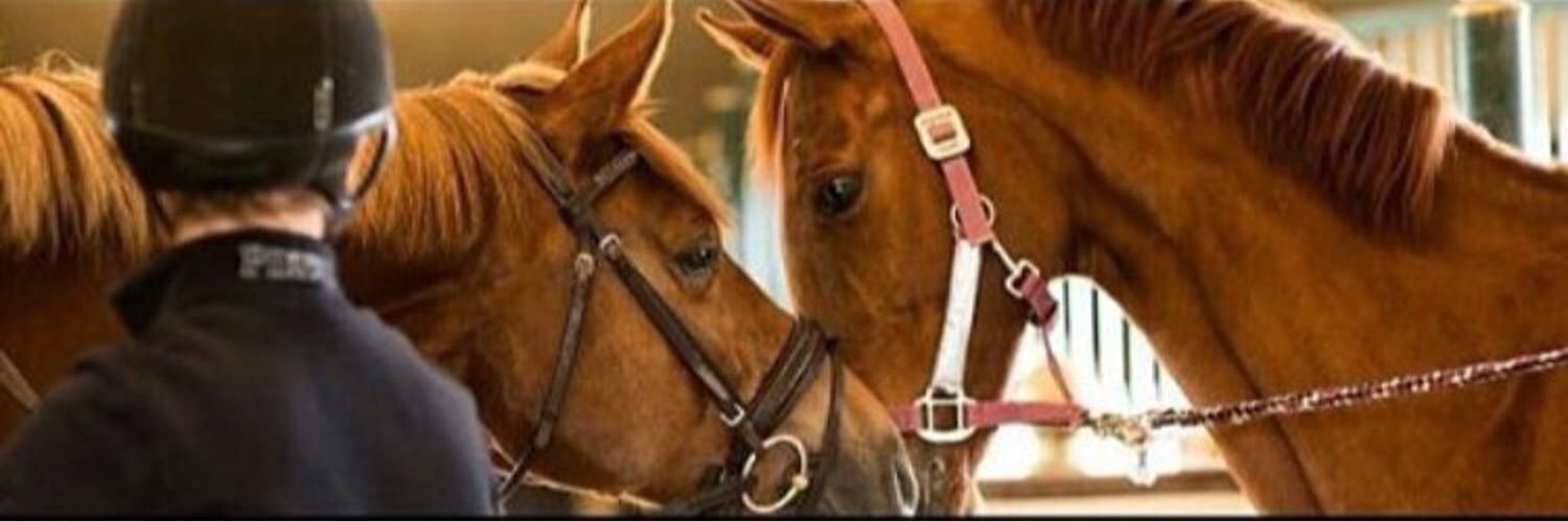 Nouf34_'s profile banner image