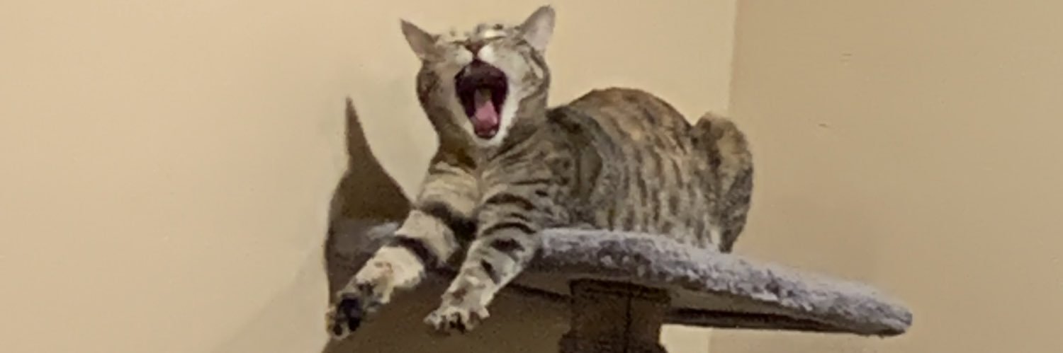 raebabbyy's profile banner image