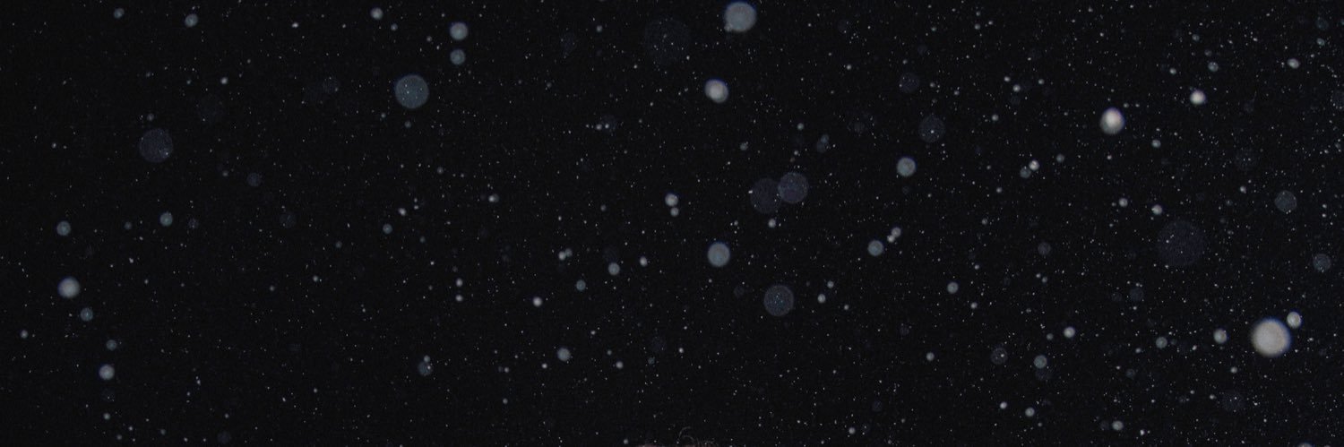 MandaRose1996's profile banner image